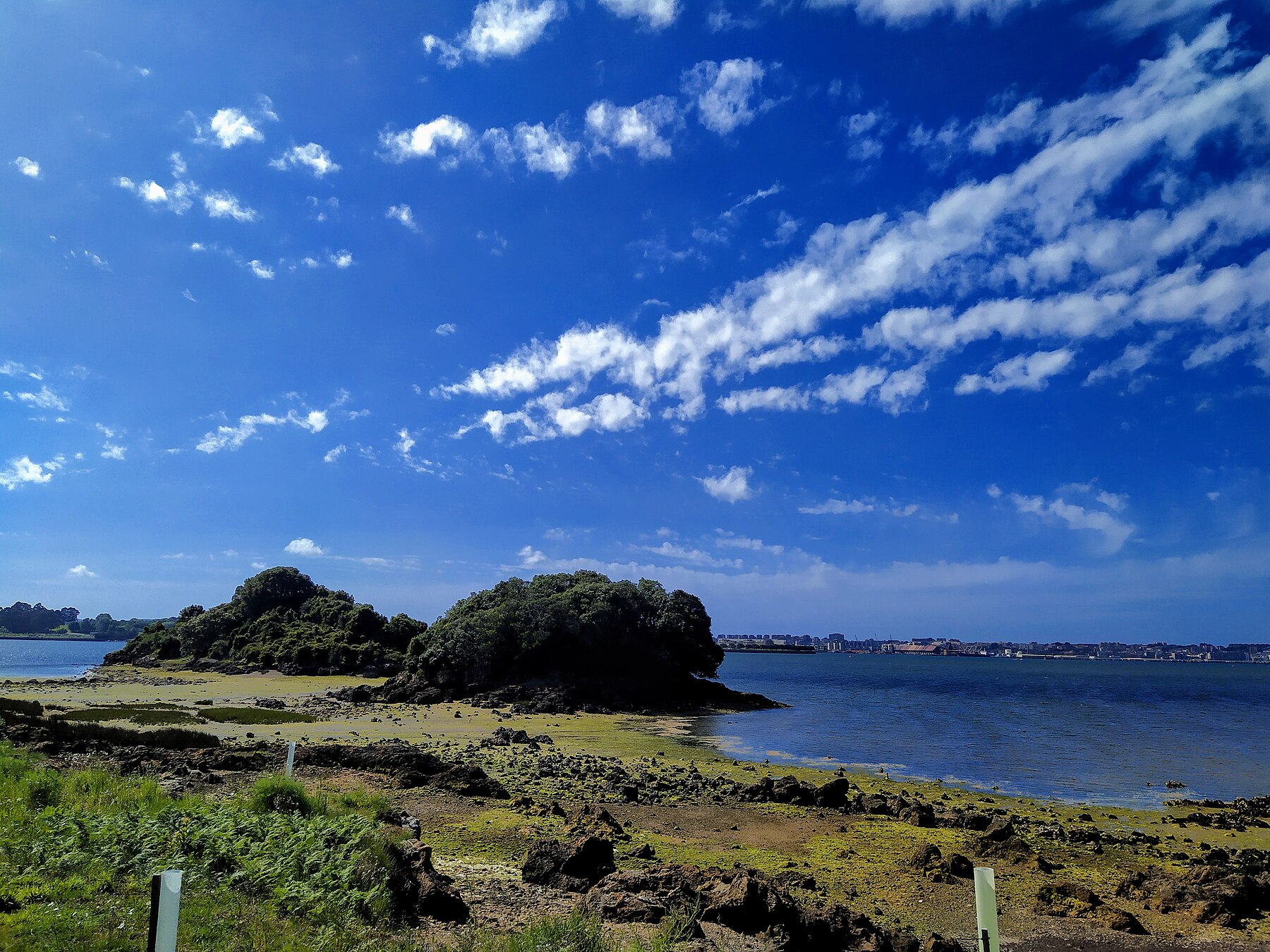 Islas de San Juan desde Elechas